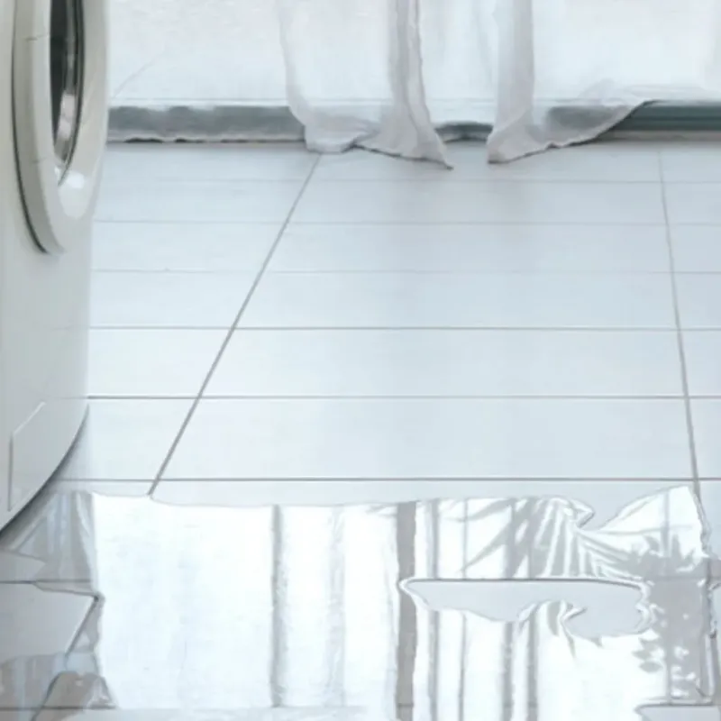 Appliance Leak Cleanup in Waverly, TN