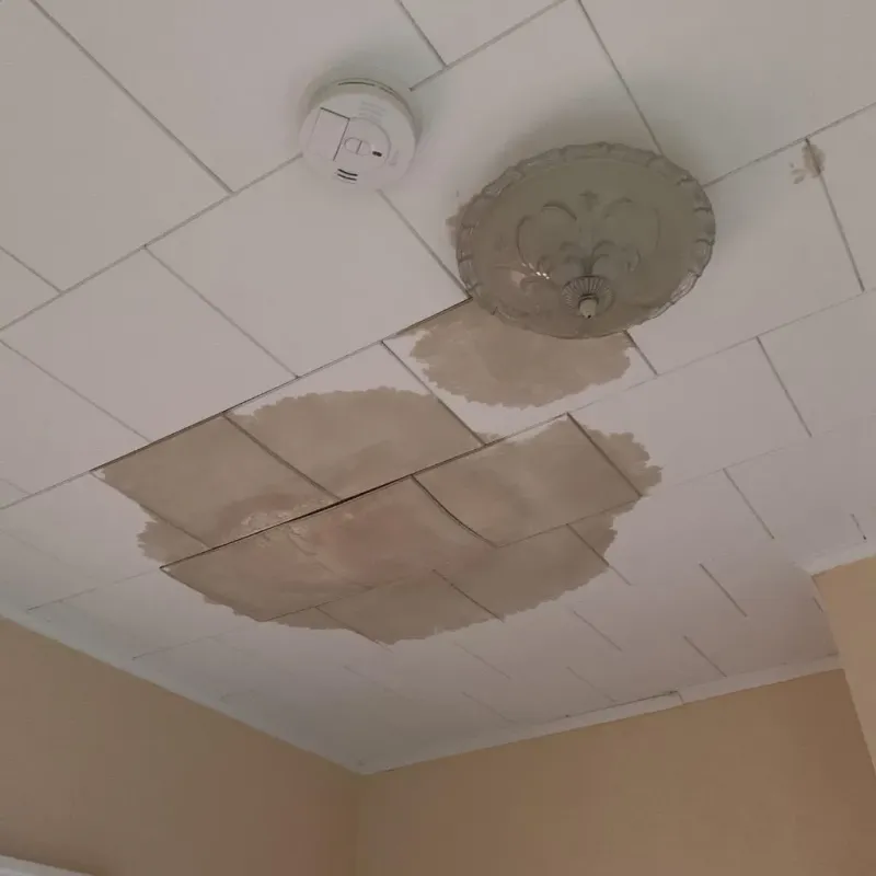 Ceiling Water Damage Repair in Waverly, TN