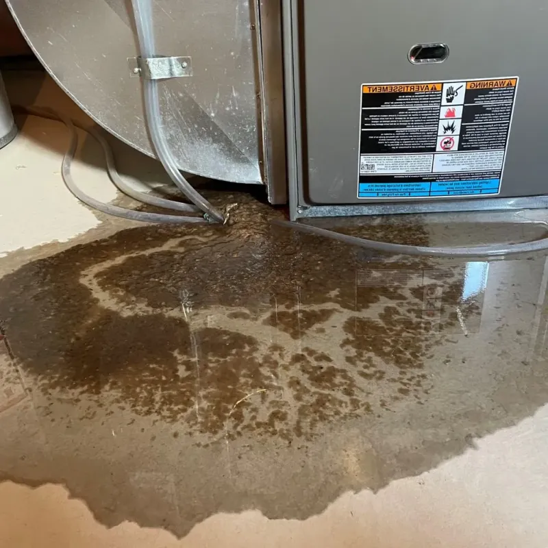 Pipe Burst and Leak Restoration in Waverly, TN
